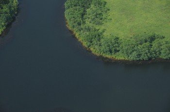 Property photo 26 - 1,025 Acres in 24 Tracts - Exellent Recreation Opportunity - Potential Building Sites - 11 Lakes & Ponds
